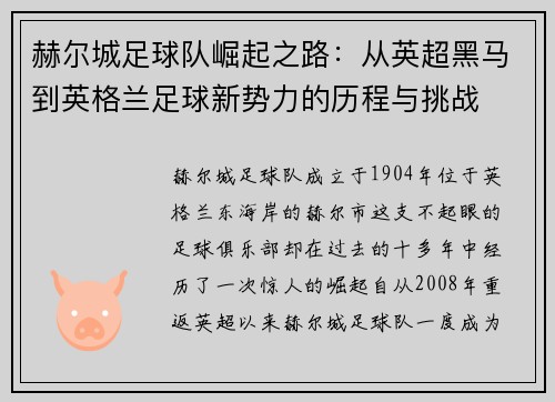 赫尔城足球队崛起之路：从英超黑马到英格兰足球新势力的历程与挑战